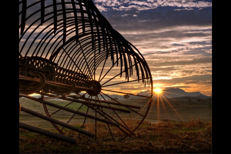 Make Hay